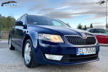 1.6 TDI 110 KM SUPER STAN Salon Polska Mocno Doinwestowany  Mod. 2016